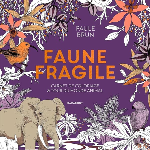 Poster plastifié Les Méridiens et les cinq éléments (A2) - J.Baarle