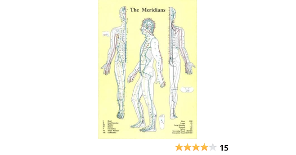 [9789079887347] Planche plastifiée THE MERIDIENS (A4) - J.Baarle