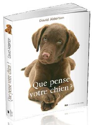 Que pense votre chien ?