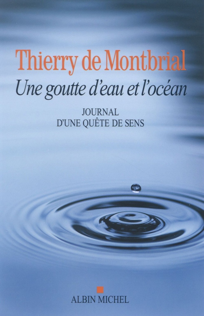 La goutte d'eau et l'océan