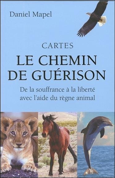 Cartes le chemin de guérison (Coffret)