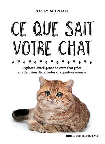 Ce que sait votre chat ; explorez l'intelligence de votre chat grâce aux dernières découvertes en cognition animale