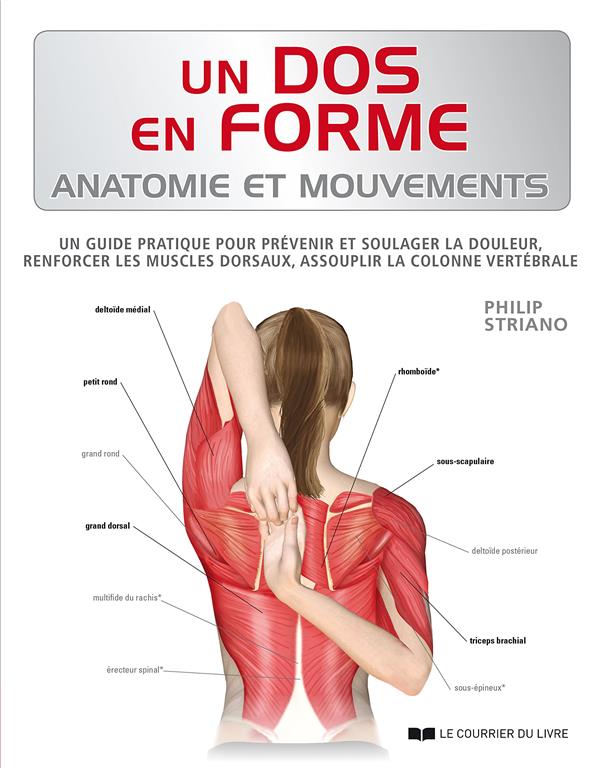 Un dos en forme ; anatomie et mouvements
