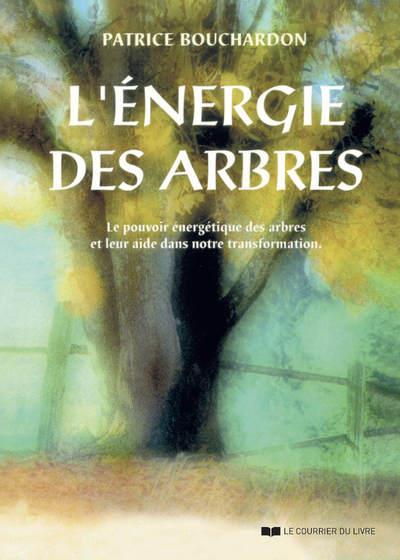 L'énergie des arbres : le pouvoir énergétique des arbres et leur aide dans notre transformation