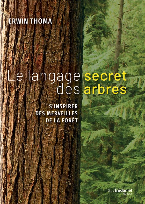 Le langage secret des arbres ; s'inspirer des merveilles de la forêt