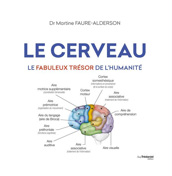 Le cerveau ; le fabuleux trésor de l'humanité