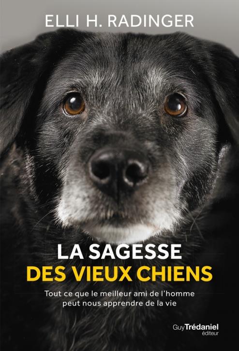 La sagesse des vieux chiens