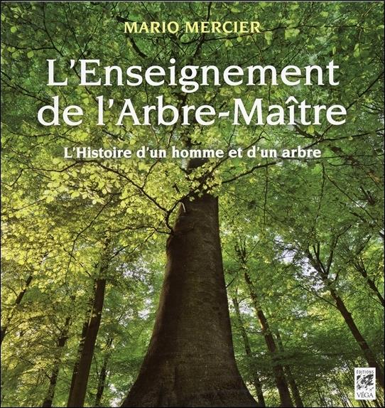 L'enseignement de l'Arbre-Maître