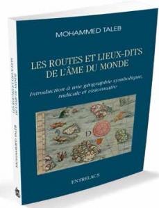 Les routes et les lieux-dits de l'âme ; introduction à une géographie symbolique, radicale et visionnaire