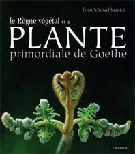 PLANTE PRIMORDIALE