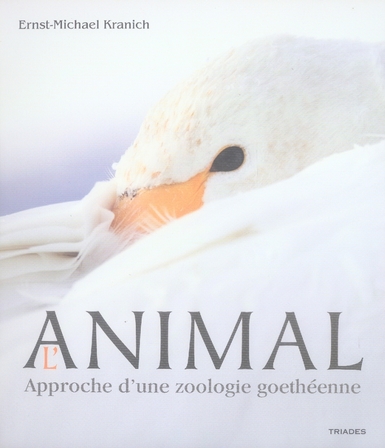 ANIMAL