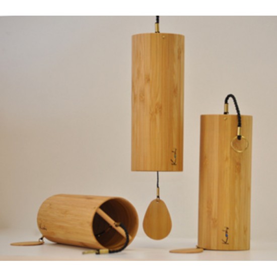 FORCES FORMATRICES ( EAR )