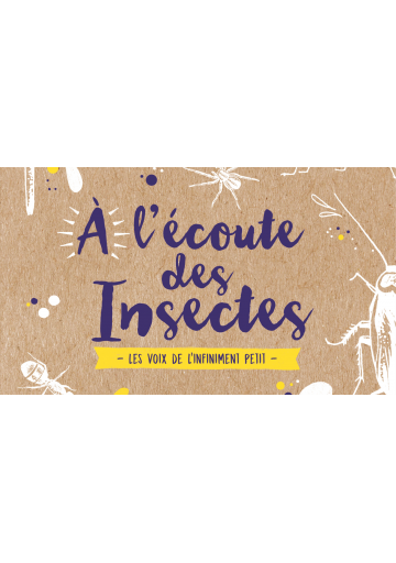 à l'écoute des insectes ; les voix de l'infiniment petit (avant-propos Thomas Berry)