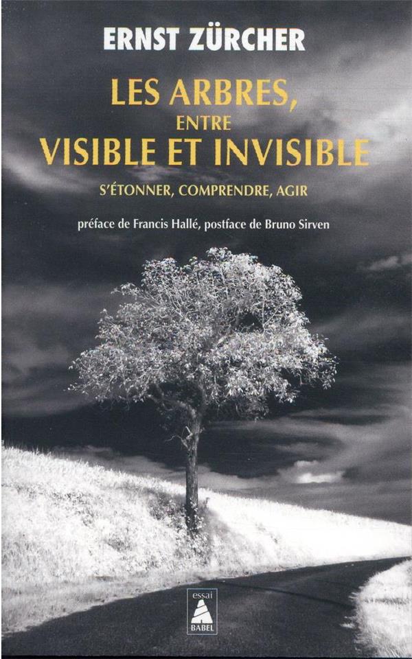 Les arbres entre visible et invisible