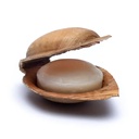 Holy Lama Savon en feuille de palmier à la Lavande | 100 g