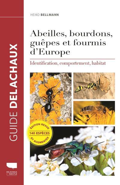 Abeilles, bourdons, guêpes