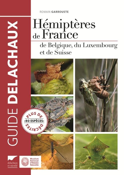 Hemiptères de France