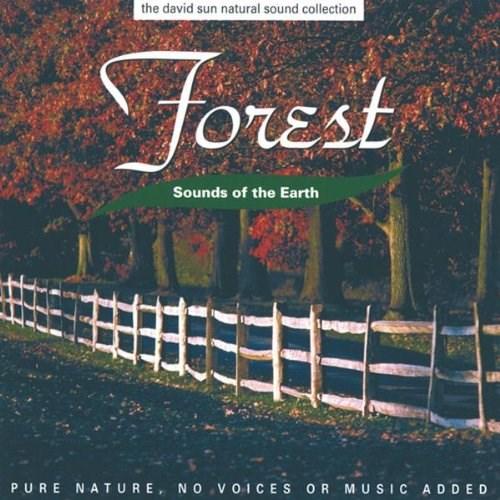 CD Forest