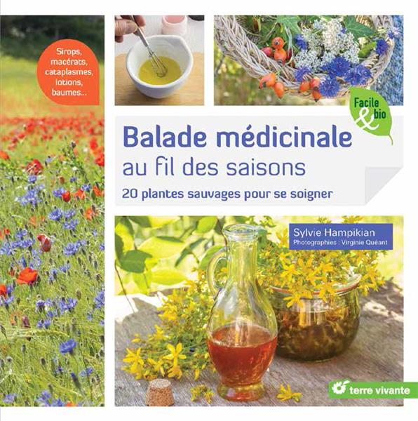 Balade médicinale au fil des saisons