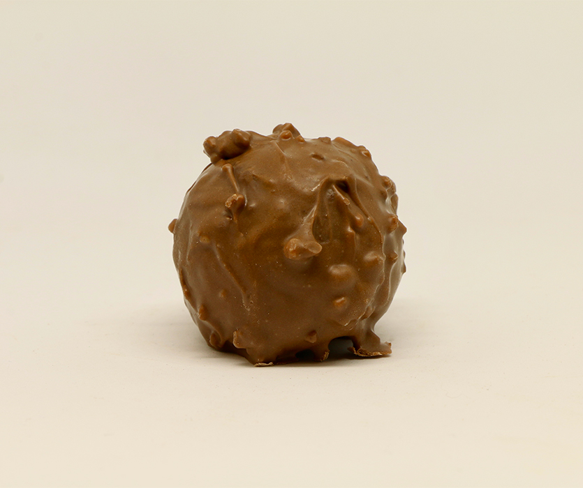 Rocher Bio Chocolat au lait