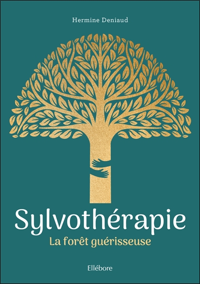Sylvothérapie - La forêt guérisseuse