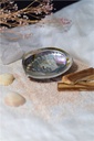 Coquille d'Ormeau