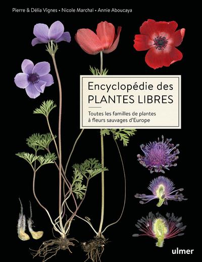 Encyclopedie des plantes libres : toutes les familles de plantes à fleurs sauvages d'Europe