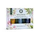 Set d'Huiles Essentielles Aromathérapie Wellness | 3x5 ml