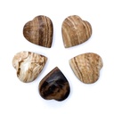 Coeur en Aragonite marron Pierre de soucis | 6x5,5x3cm