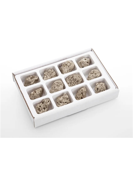 Pierres brutes - Pyrite - Boite de 12 pcs