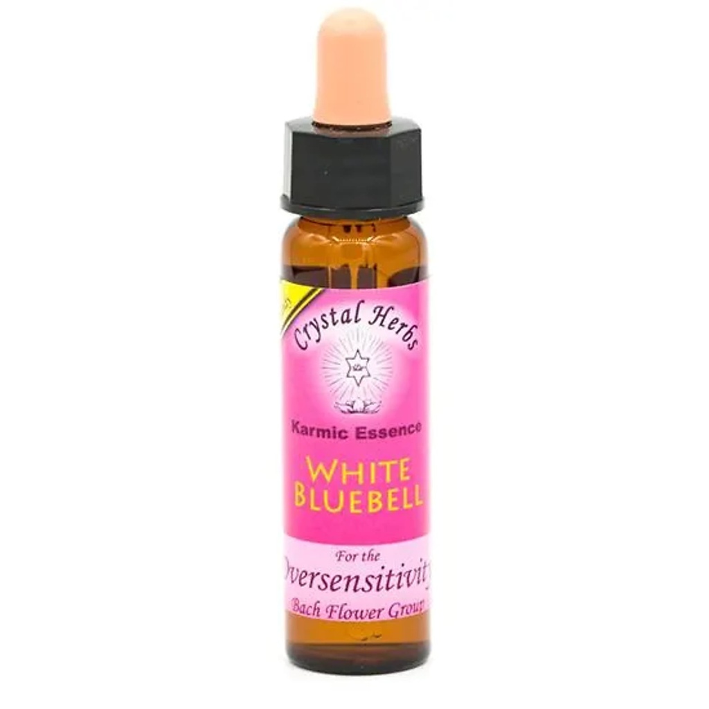 White Bluebell, Karmic Flower Essence | 10 ml