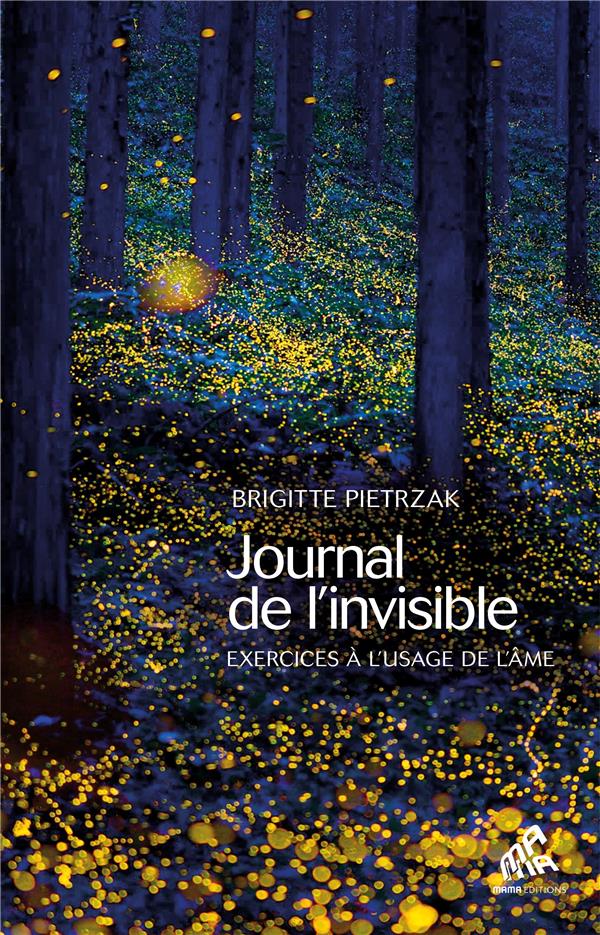 Journal de l'invisible : exercices à l'usage de l'âme