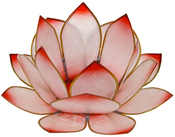 Photophore lotus - coloris rose