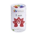 Tisanne bio Solaris Chakra racine | 15x2 g