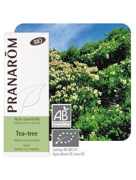 Huile essentielle Tea-tree Pranarom BIO -- 10ml