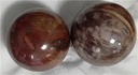Lot de sphère Bois Fossile/Silicifié - 1 kg