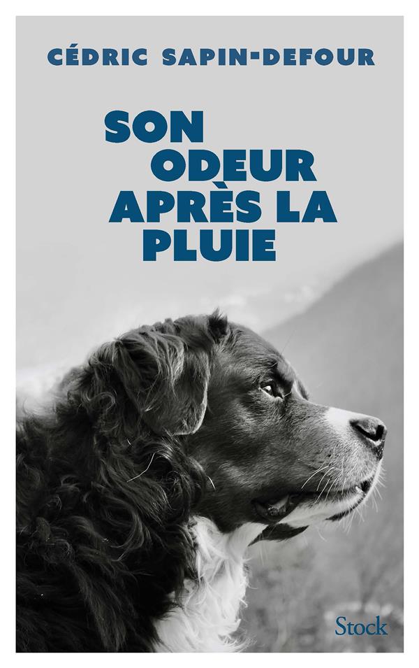 Son odeur après la pluie                     (préface Jean-Paul Dubois)