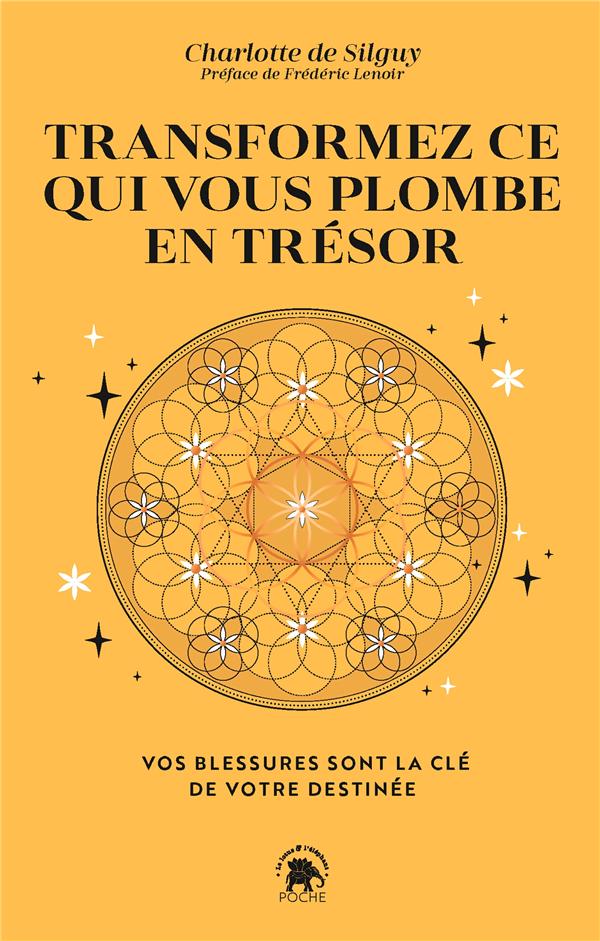 Transformez ce qui vous plombe en trésor : vos blessures sont la clé de votre destinée                     (préface Frédéric Lenoir)