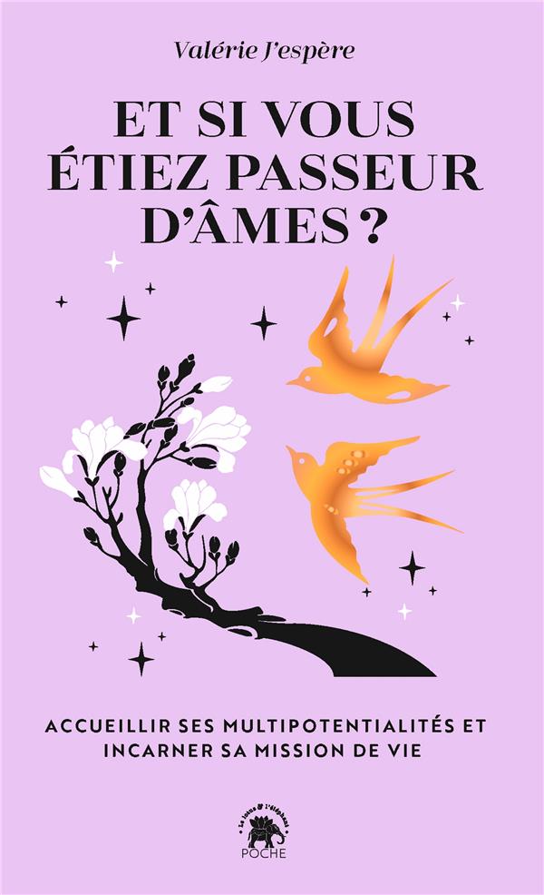 Et si vous étiez passeur d'âmes ? accueillir ses multipotentialités et incarner sa mission de vie
