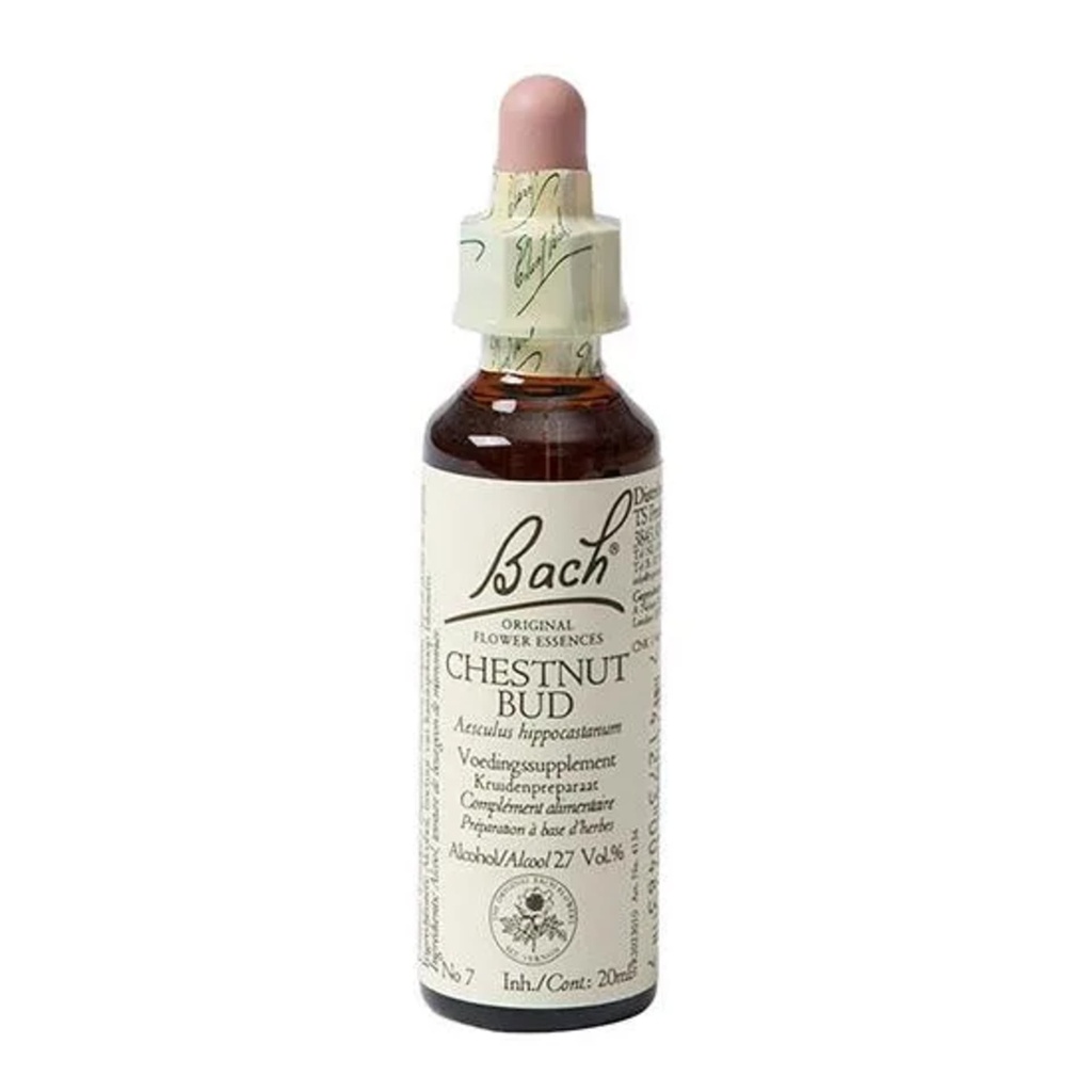 Fleurs de Bach Chestnut Bud -- 20 ml