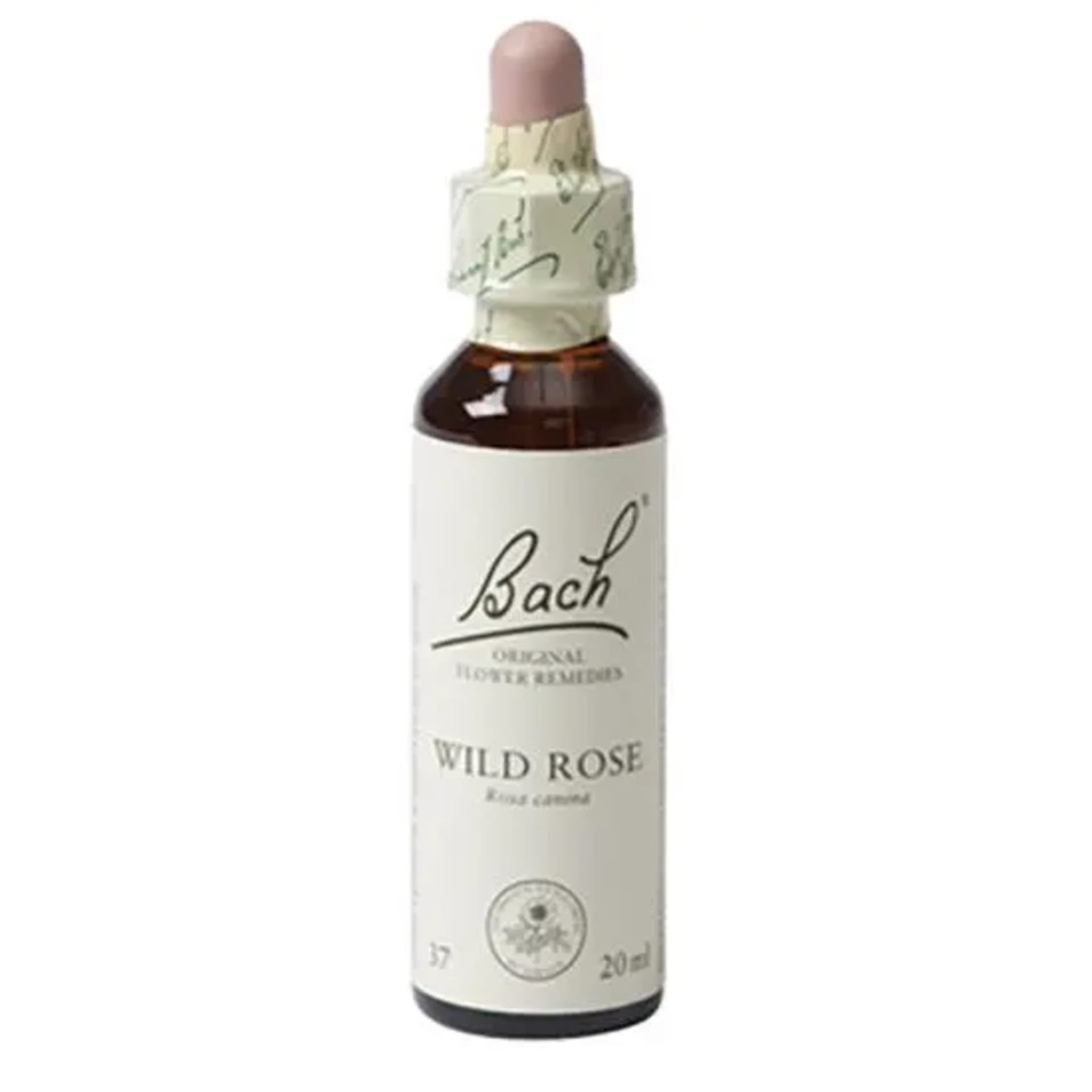Fleurs de Bach Wild Rose -- 20 ml