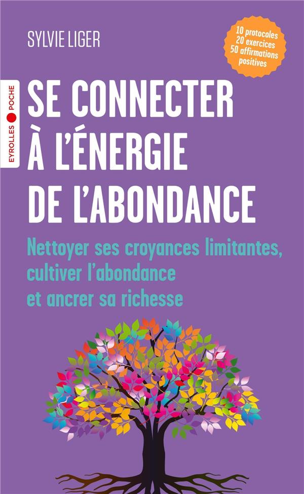 Se connecter à l'énergie de l'abondance : Nettoyer ses croyances limitantes, cultiver l'abondance et ancrer sa richesse