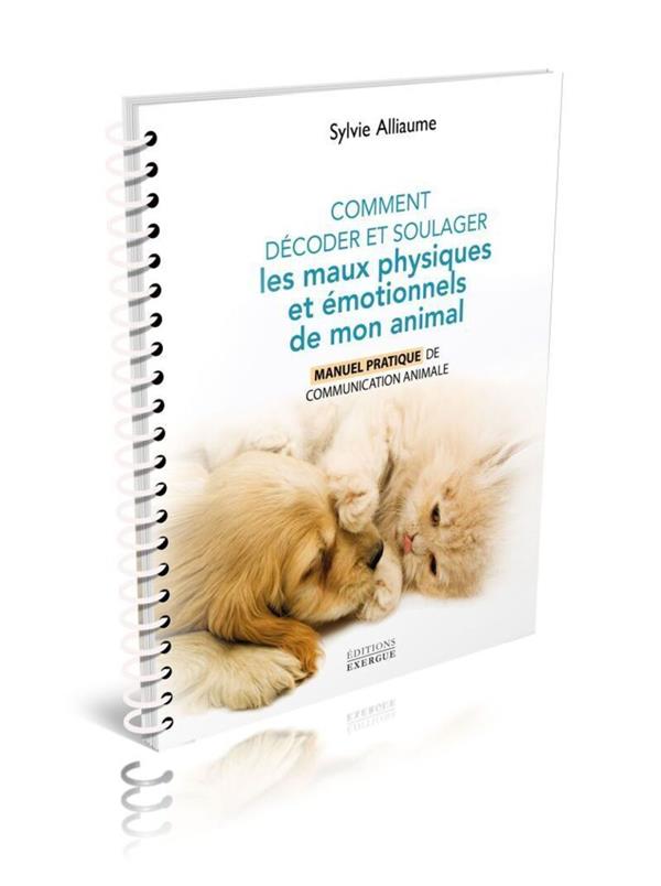 Comment comprendre et soulager les maux physiques et émotionnels de mon animal