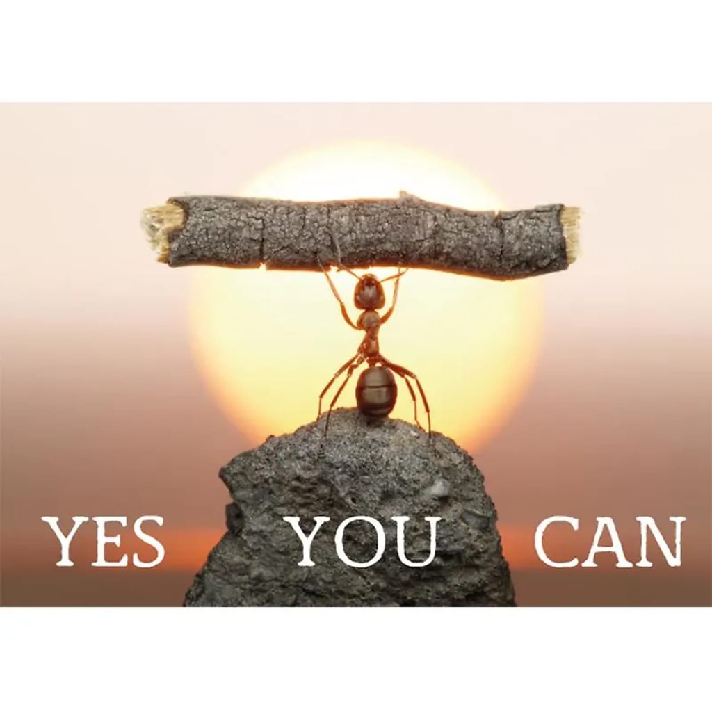 [8718274605365] Carte postale Yes you can | 15x10.5 cm