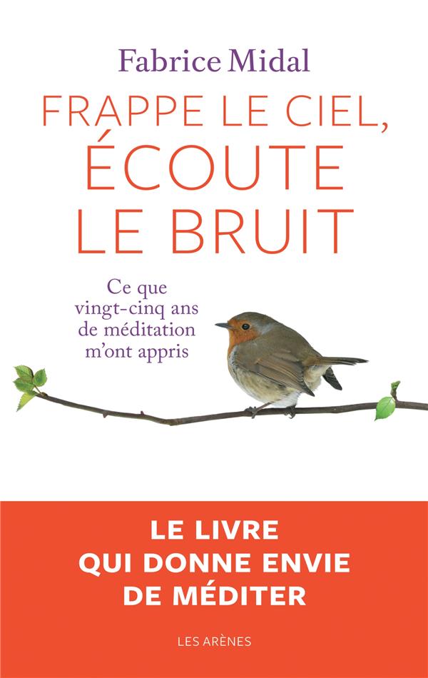 Frappe le ciel, écoute le bruit - Ce que vingt-cinq ans de méditation m'ont appris