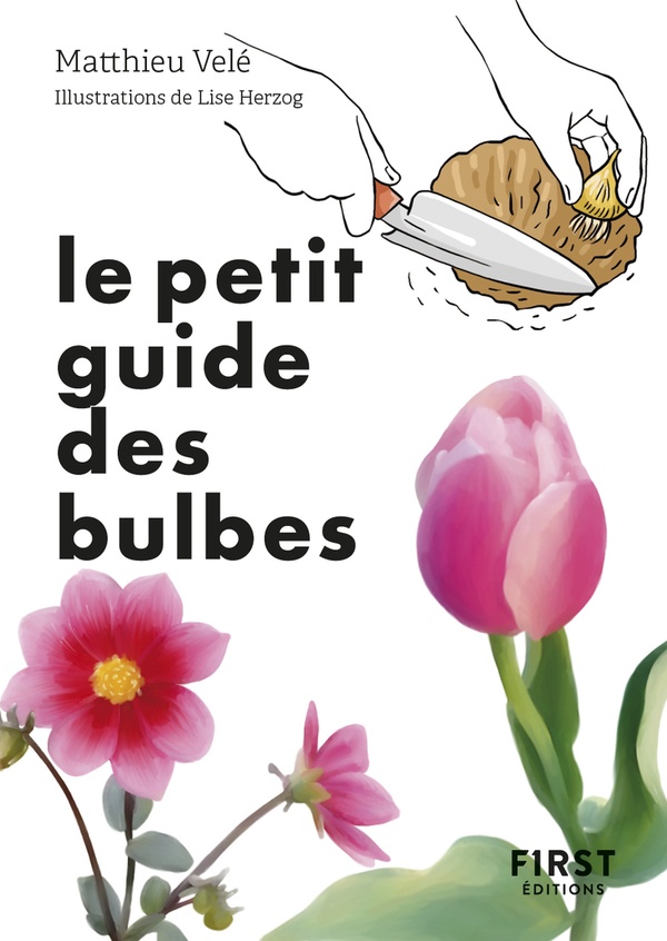 Le petit guide des bulbes - 70 variétés pour fleurir son jardin