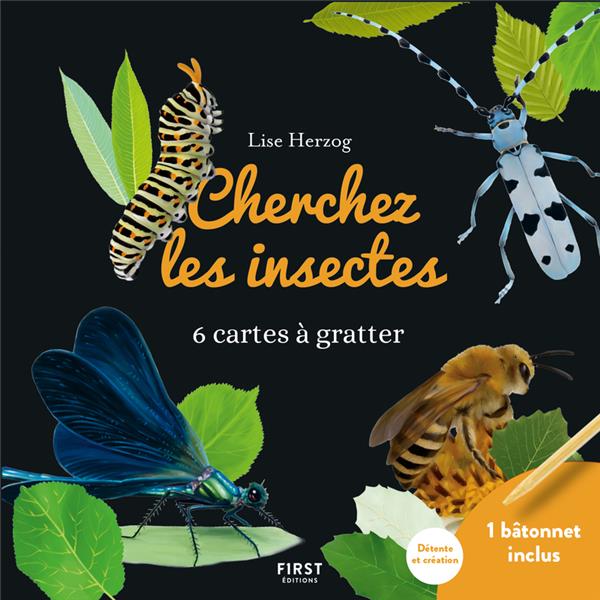 Cherchez les insectes - 6 cartes à gratter et 1 bâtonnet inclus