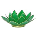 Eclairage  Lotus 4° Chakra vert & or | 13.5 cm