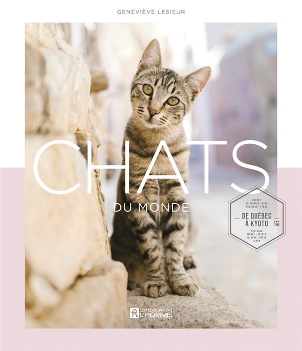 Chats du monde - De Québec à Kyoto