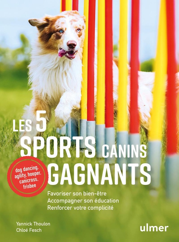 Les 5 sports canins gagnants - Favoriser son bien-être, accompagner son éducation, renforcer votre complicité